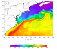 North Atlantic Colored Field thumbnail